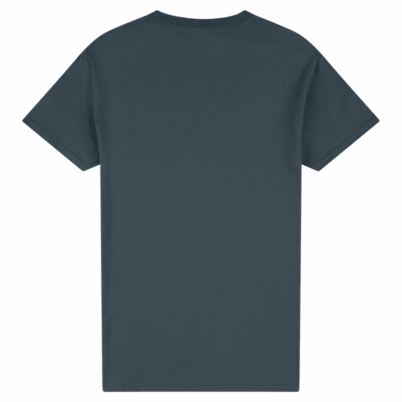 Load image into Gallery viewer, 2000 Gildan Ultra Cotton Adult T-Shirt
