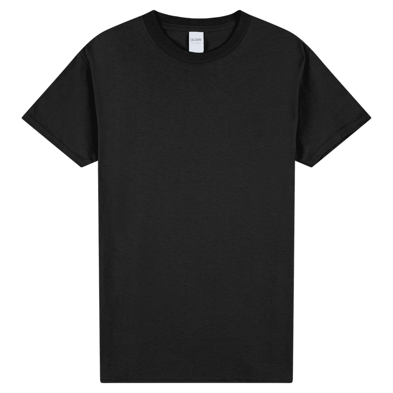 Load image into Gallery viewer, 2000 Gildan Ultra Cotton Adult T-Shirt
