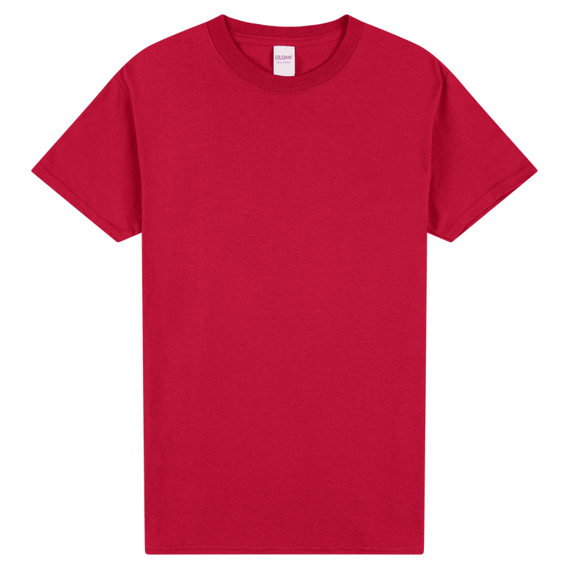 Load image into Gallery viewer, 2000 Gildan Ultra Cotton Adult T-Shirt
