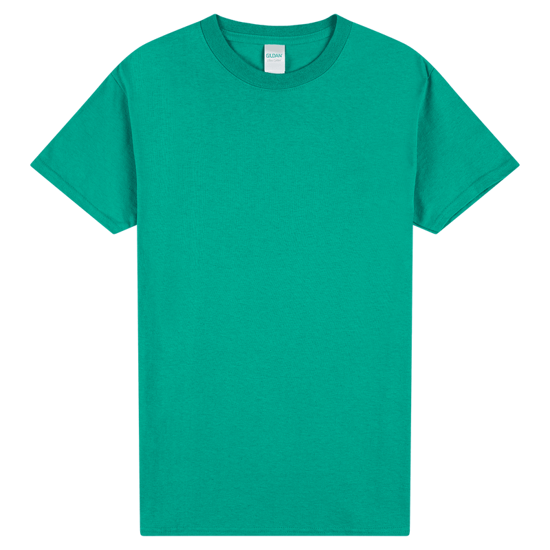 Load image into Gallery viewer, 2000 Gildan Ultra Cotton Adult T-Shirt
