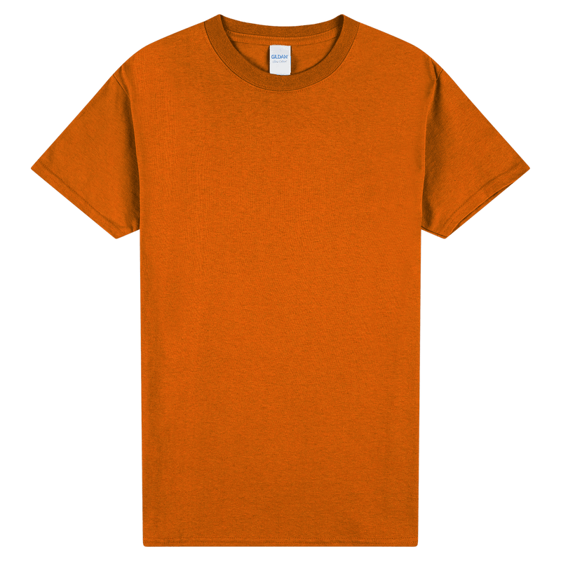 Load image into Gallery viewer, 2000 Gildan Ultra Cotton Adult T-Shirt
