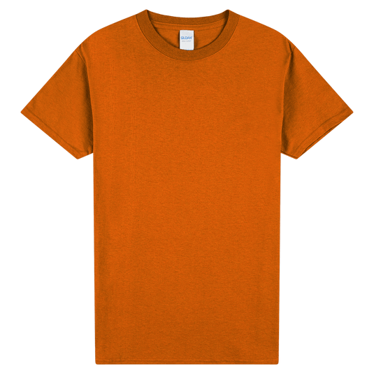 2000 Gildan Ultra Cotton Adult T-Shirt