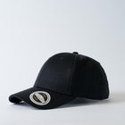 Wholesale U20610TR 6 Panel Baseball Corporate Cap Printed or Blank